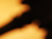 cropped-mlotek.jpg